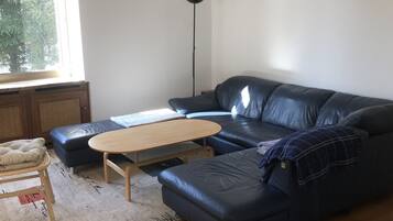Ein modernes Wohnzimmer mit einem dunkelblauen Ledersofa, einem Holztisch und einem Korbstuhl.