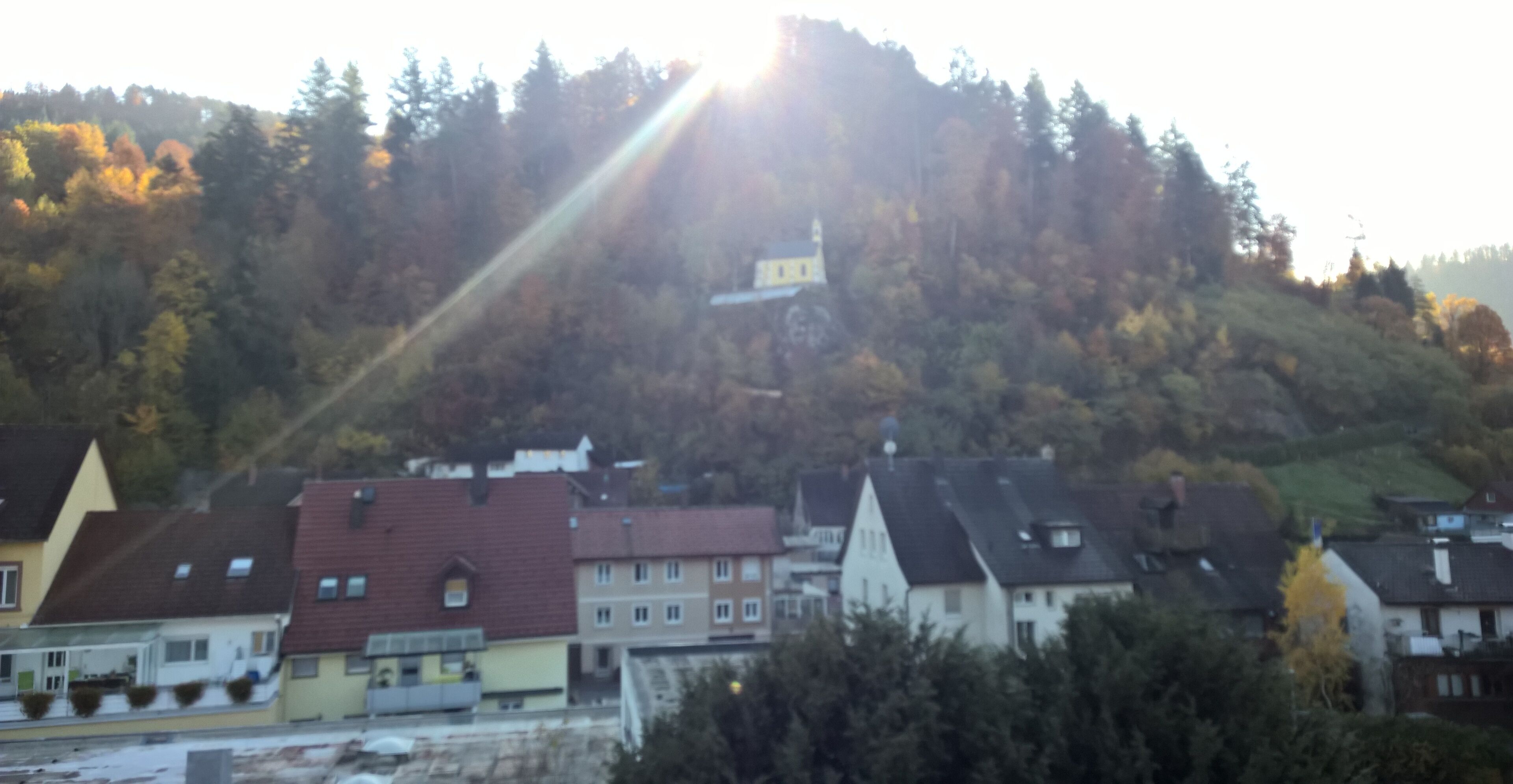 A residential area with houses on a hillside, a church, and a clear view of the surrounding forest.