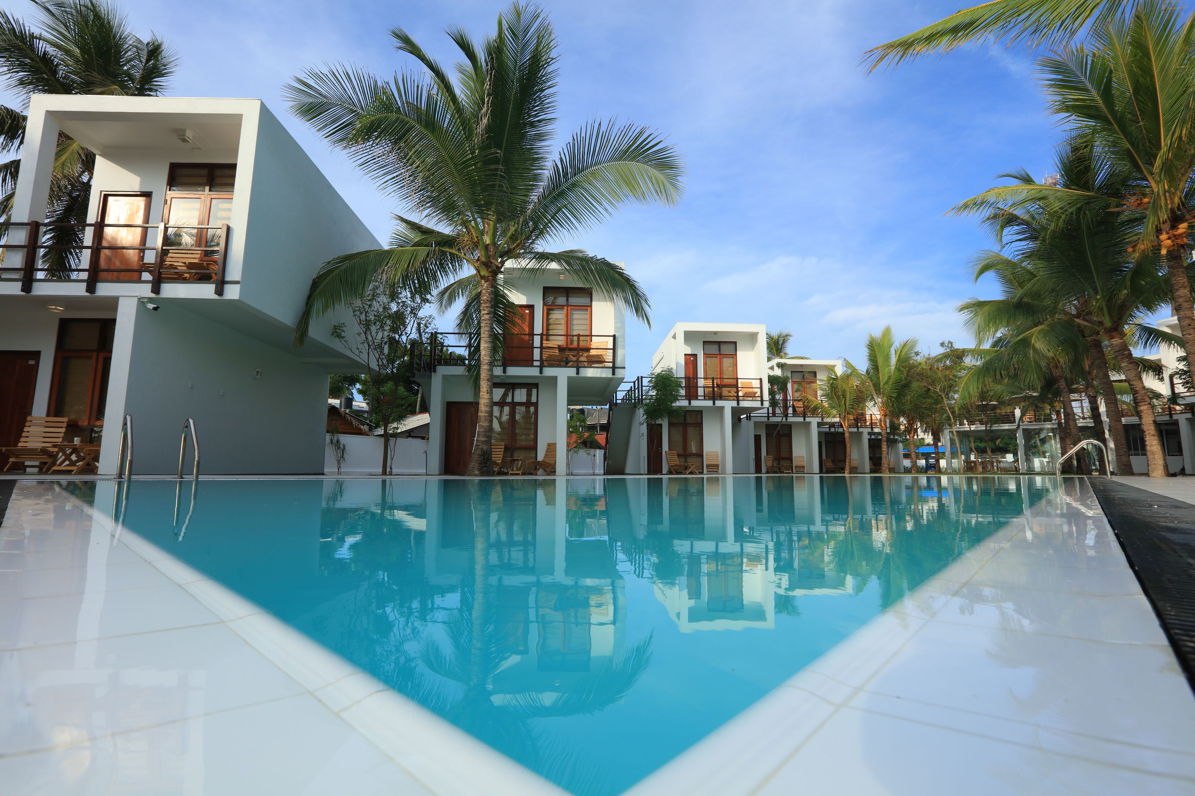 garden view  | garden view