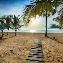 Walk along the beachside boardwalk, lined with palm trees and shaded by blue umbrellas.