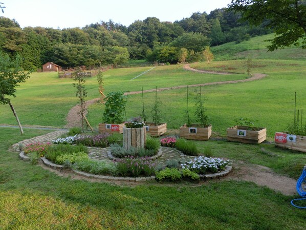 A garden with raised beds, a wooden structure, and a pathway. - Blue Ridge Hotel (Toyooka)