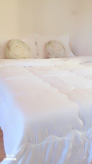 واي فاي مجانًا