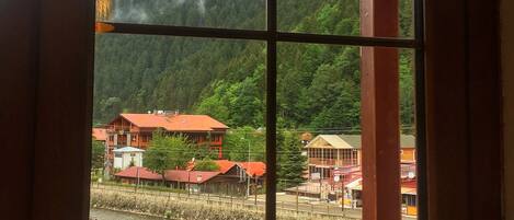 Televisión LCD y chimenea