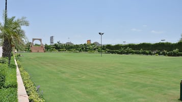 Mini-golf