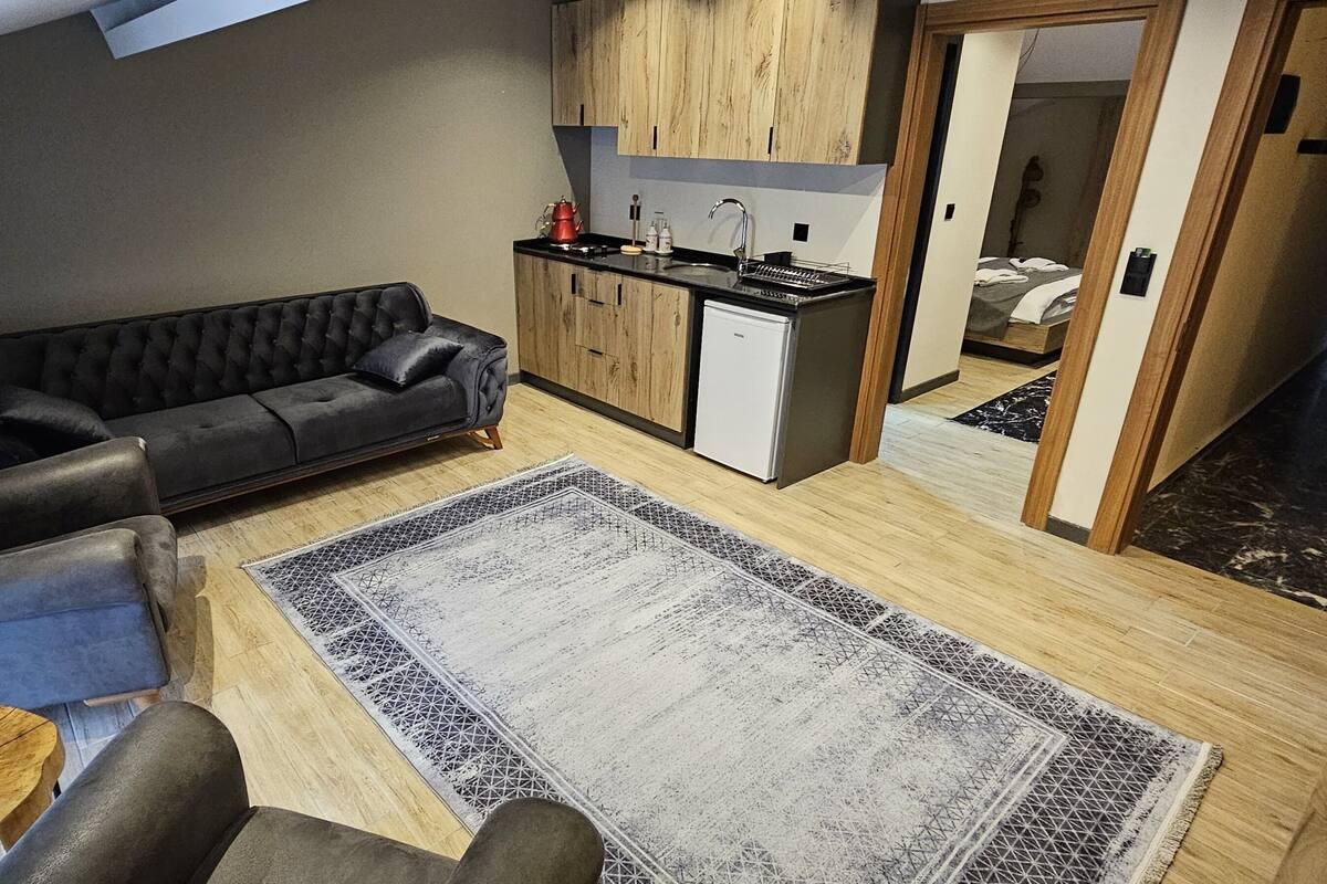 A compact living space with a sofa, a small kitchen area, and a dining table.