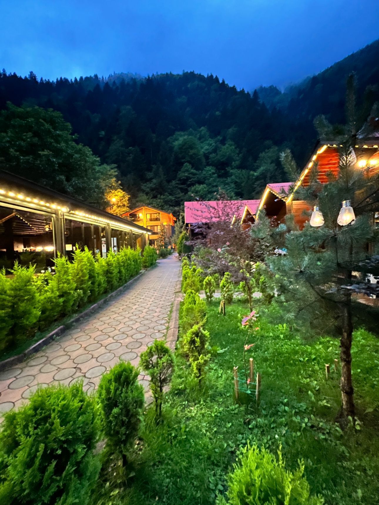 Ein Weg führt zu einem Gebäude mit Glasfassade, umgeben von üppiger Vegetation und einer Bergkulisse.