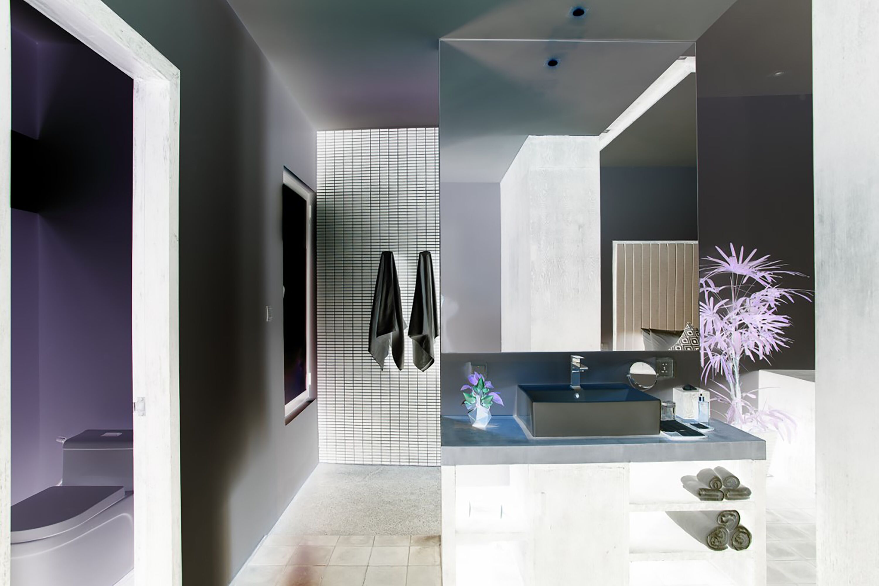 Ein modernes Badezimmer mit einem großen Spiegel, einem Waschbecken und einer Toilette. Handtücher hängen an der Wand und auf der Ablage steht eine Pflanze.