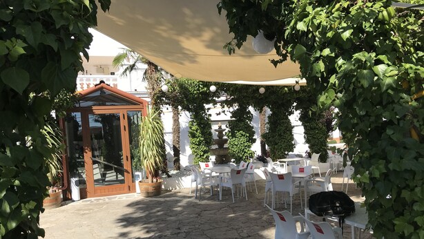 Un área de estar al aire libre con sillas y mesas de plástico blanco, una pérgola de madera y plantas en macetas.