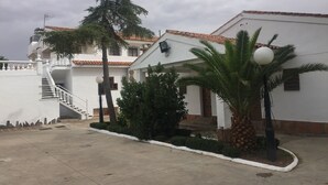 Un edificio blanco con techo de tejas, una escalera y una palmera.