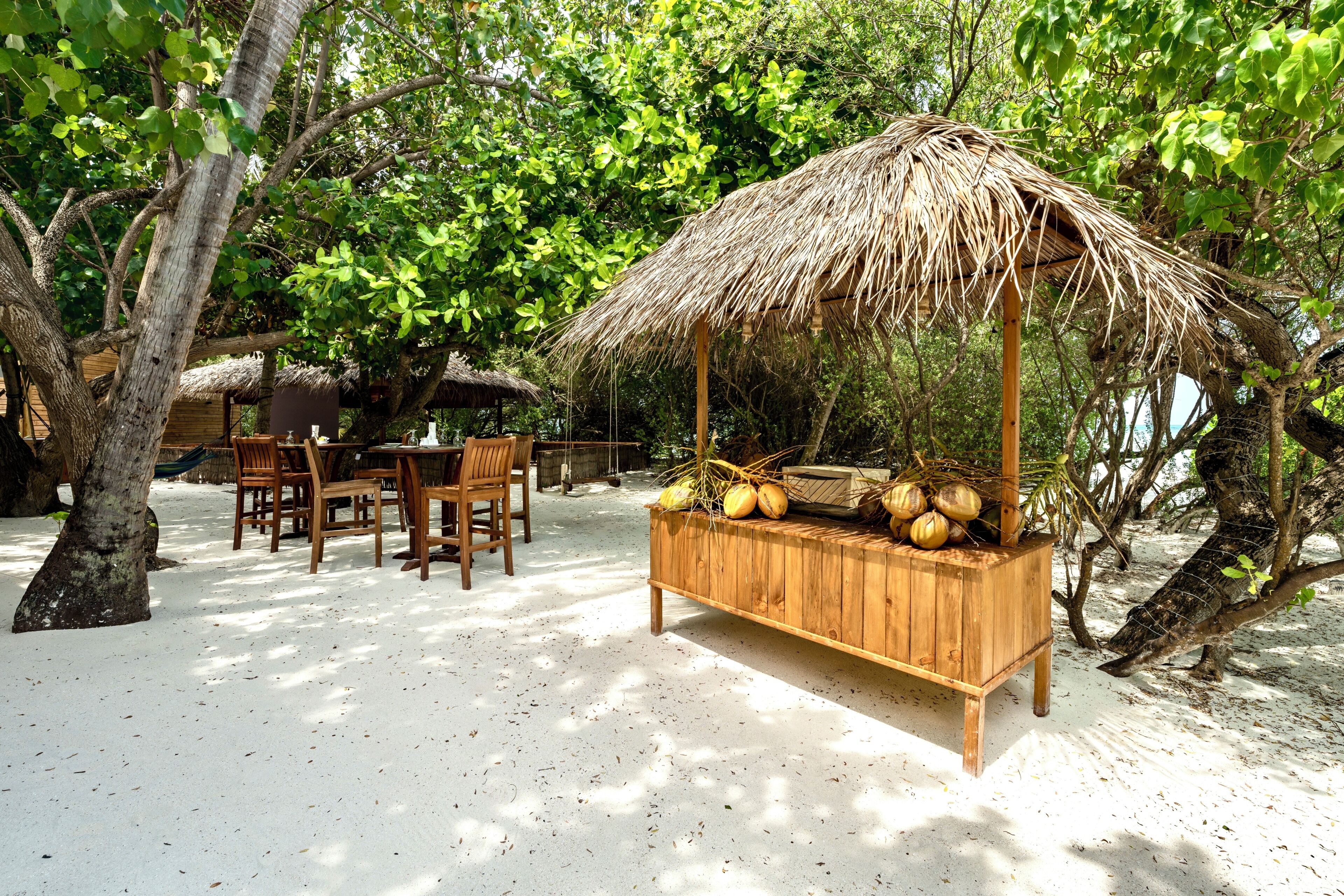 A wooden bench with a thatched roof, surrounded by trees and a sandy ground.