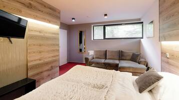 Una camera da letto moderna con un letto grande, un divano, una TV e una finestra.