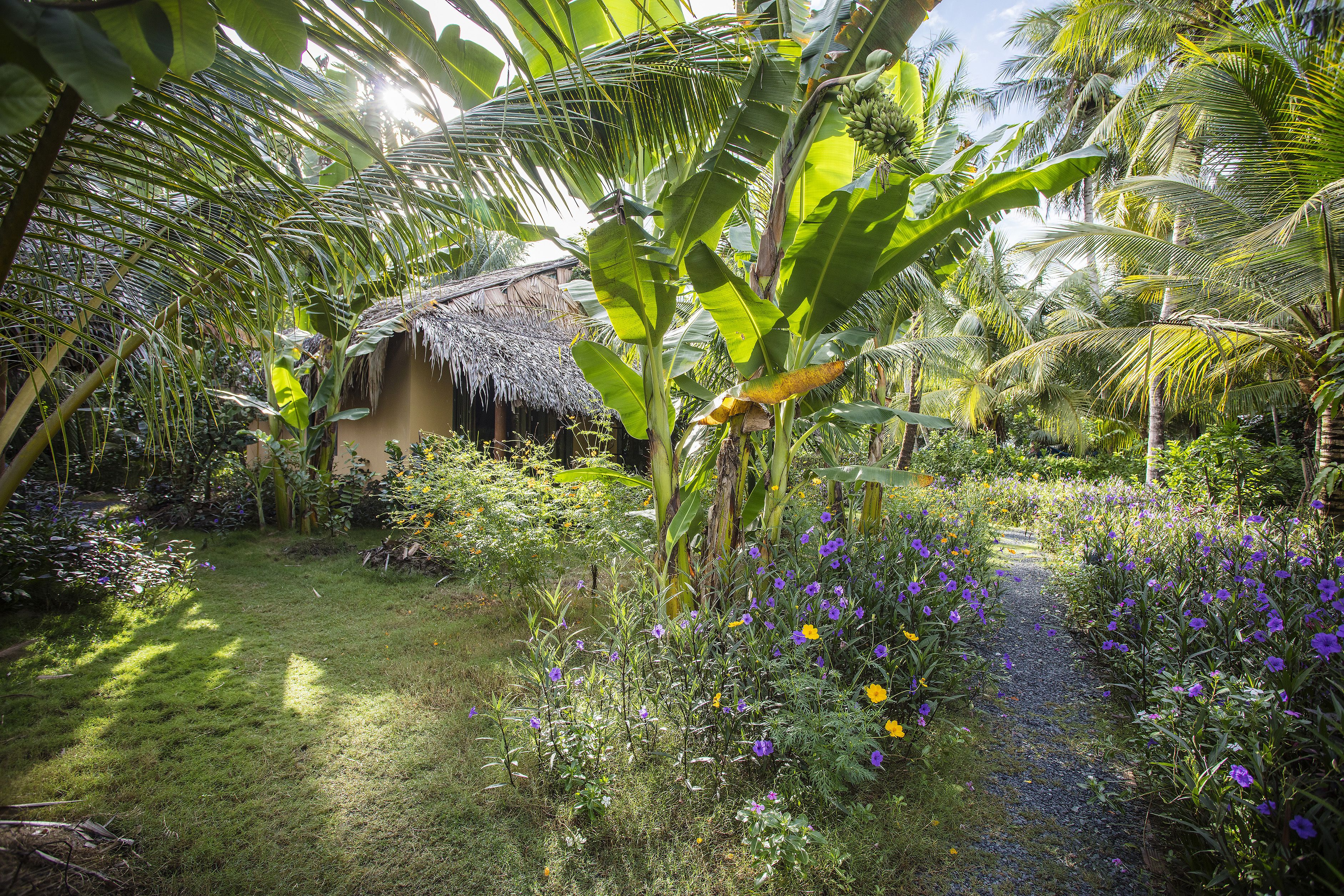 A lush garden with a thatched-roof hut, banana trees, and a variety of flowering plants.