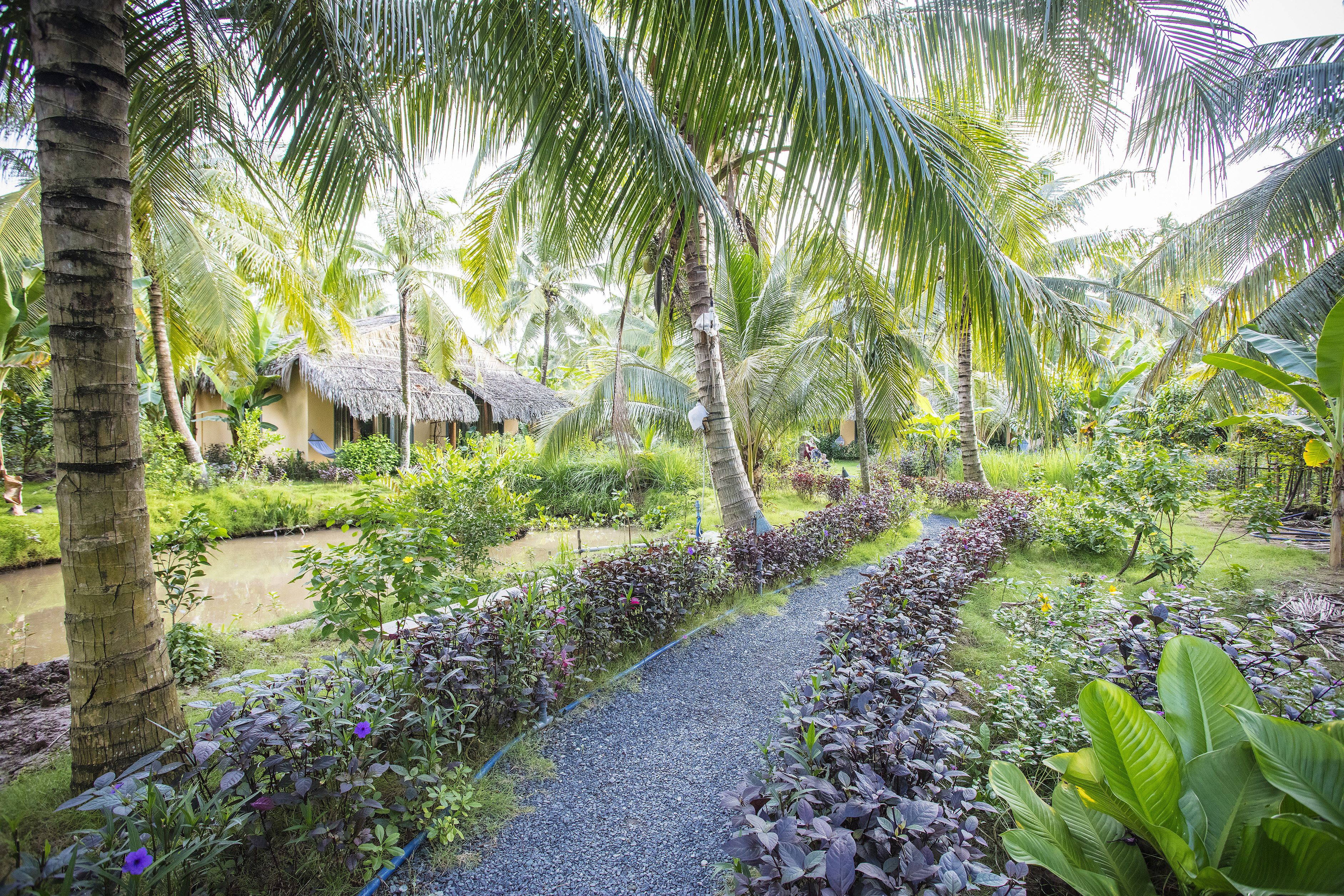Un jardín tropical con un sendero de grava, palmeras y una estructura de techo de paja.