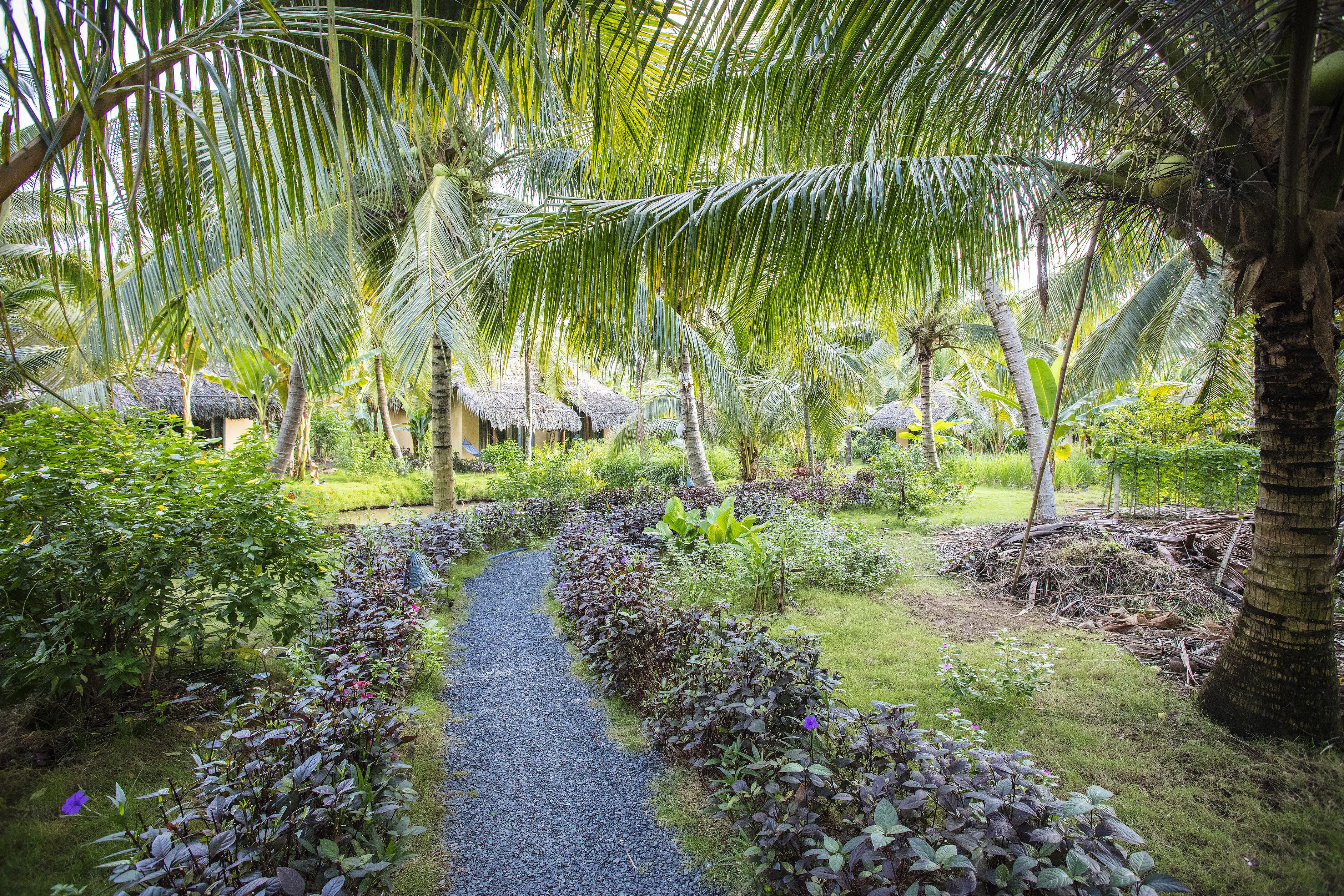 Un sentier de jardin bordé d’une végétation luxuriante et de palmiers, menant à des huttes aux toits de chaume.