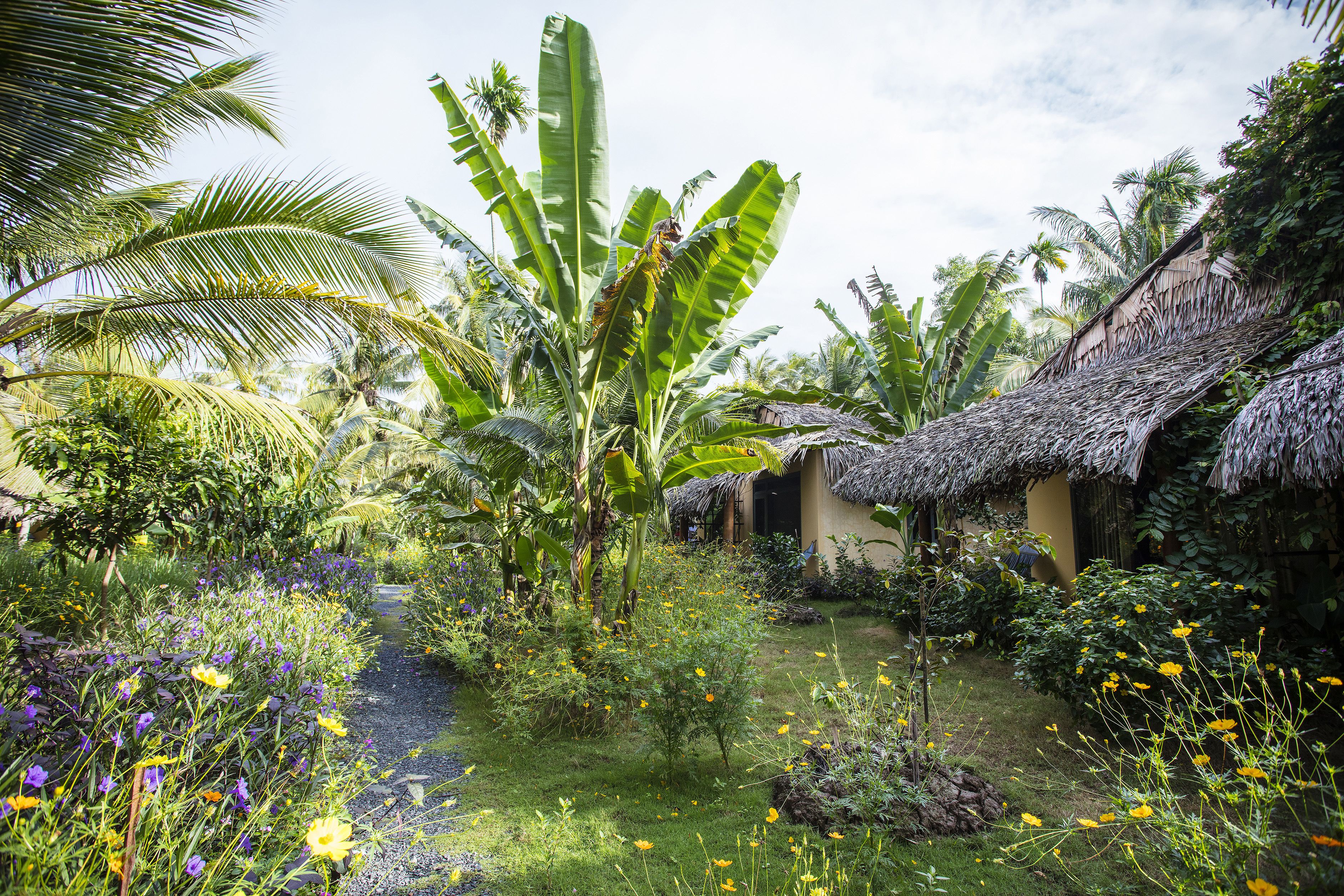 A tropical garden with banana trees, a thatched-roof hut, and a variety of colorful flowers.