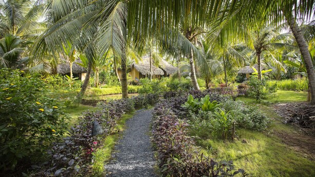 A tropical garden with a gravel path, palm trees, and thatched-roof huts. - Mekong Home (Phuoc Long)
