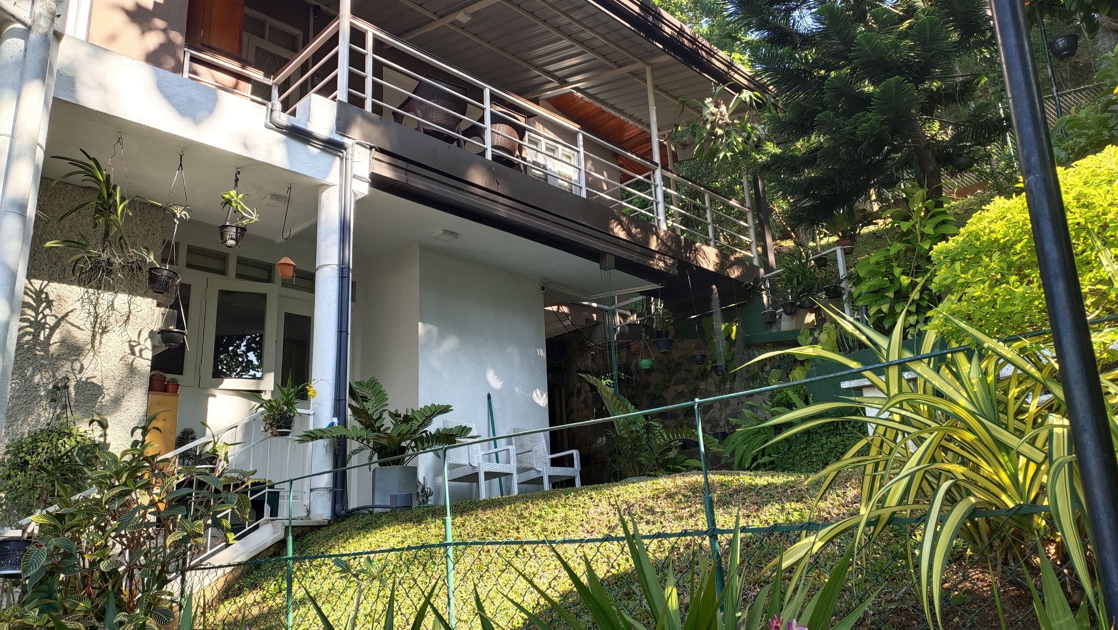 Foto - Marvel Hills Kandy