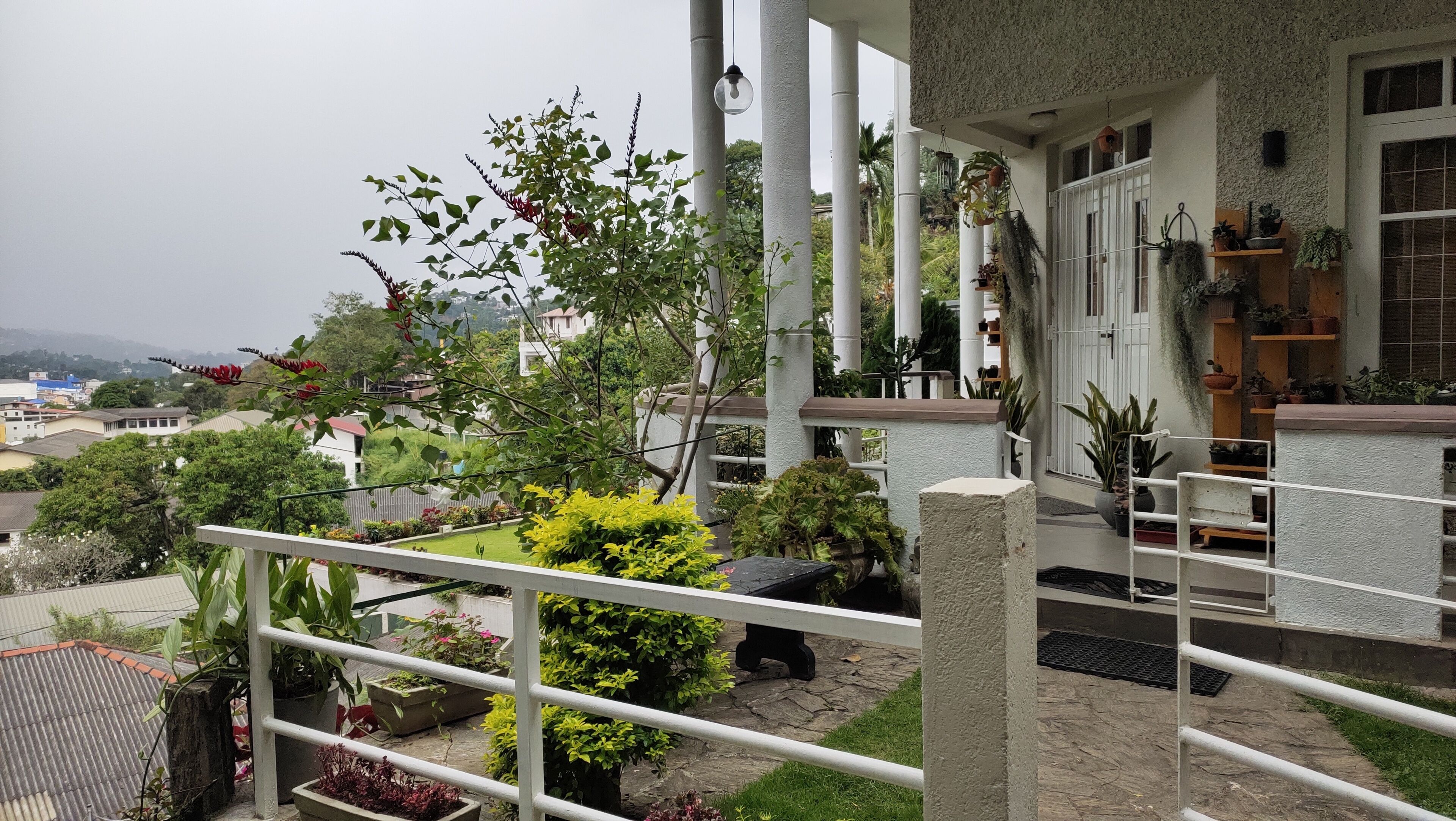 Foto - Marvel Hills Kandy