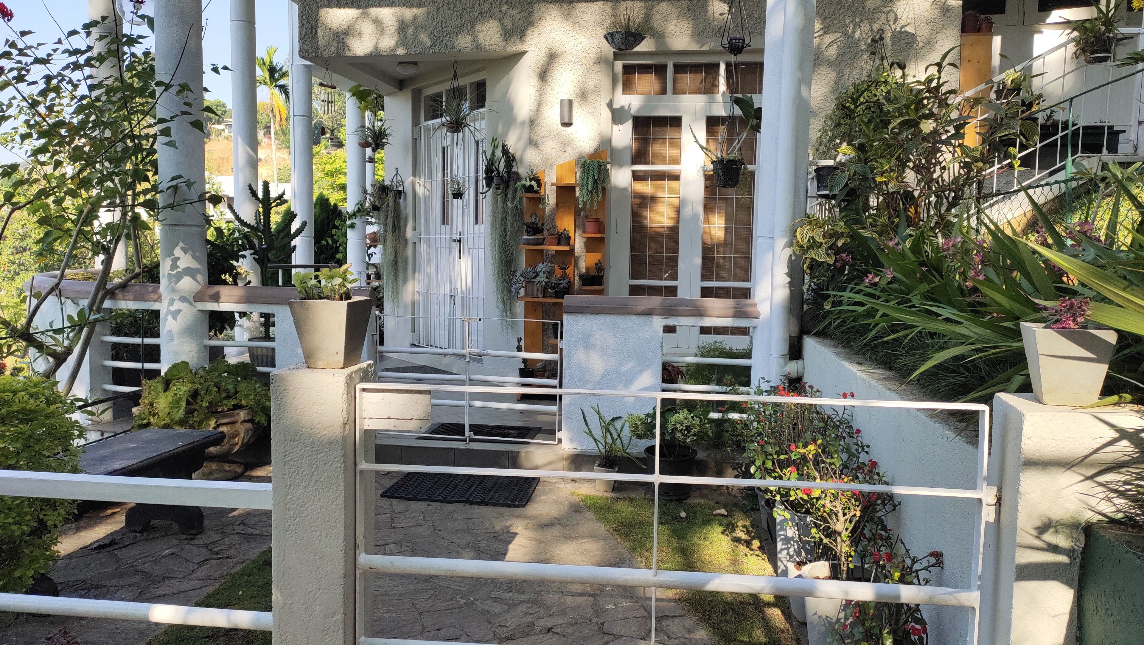 Foto - Marvel Hills Kandy