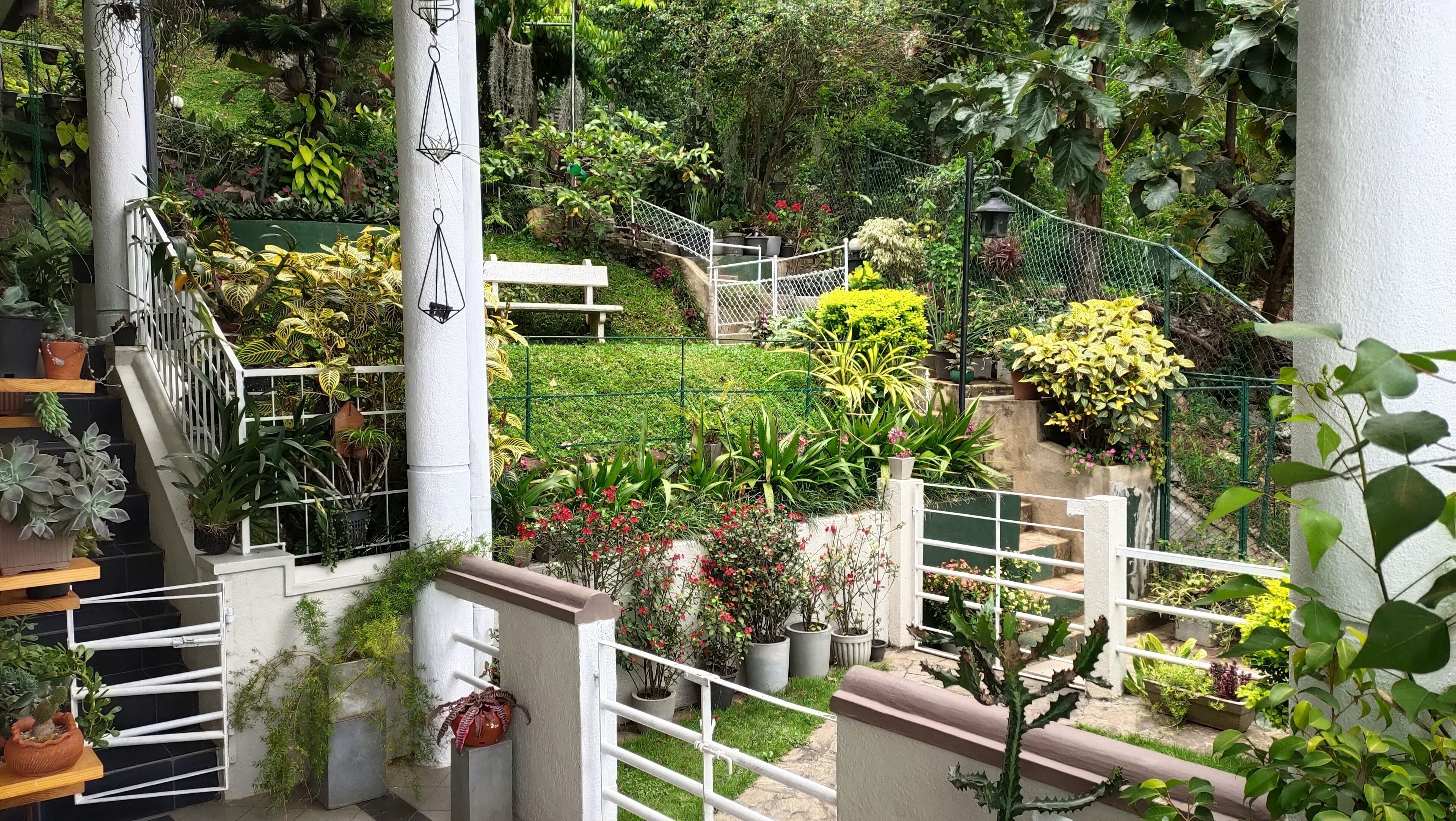 Foto - Marvel Hills Kandy