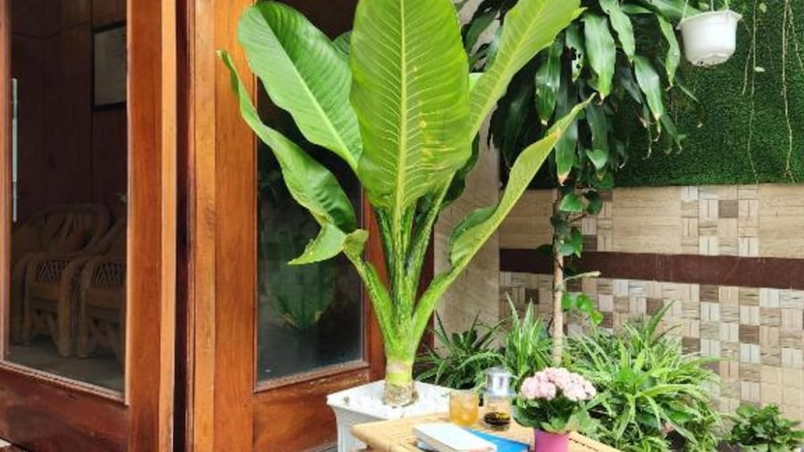 Senkotel Nha Trang Managed by NEST Group