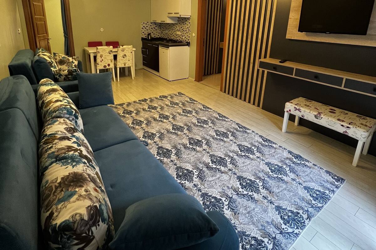 A living room with a sofa, a patterned rug, a TV, and a kitchen in the background.