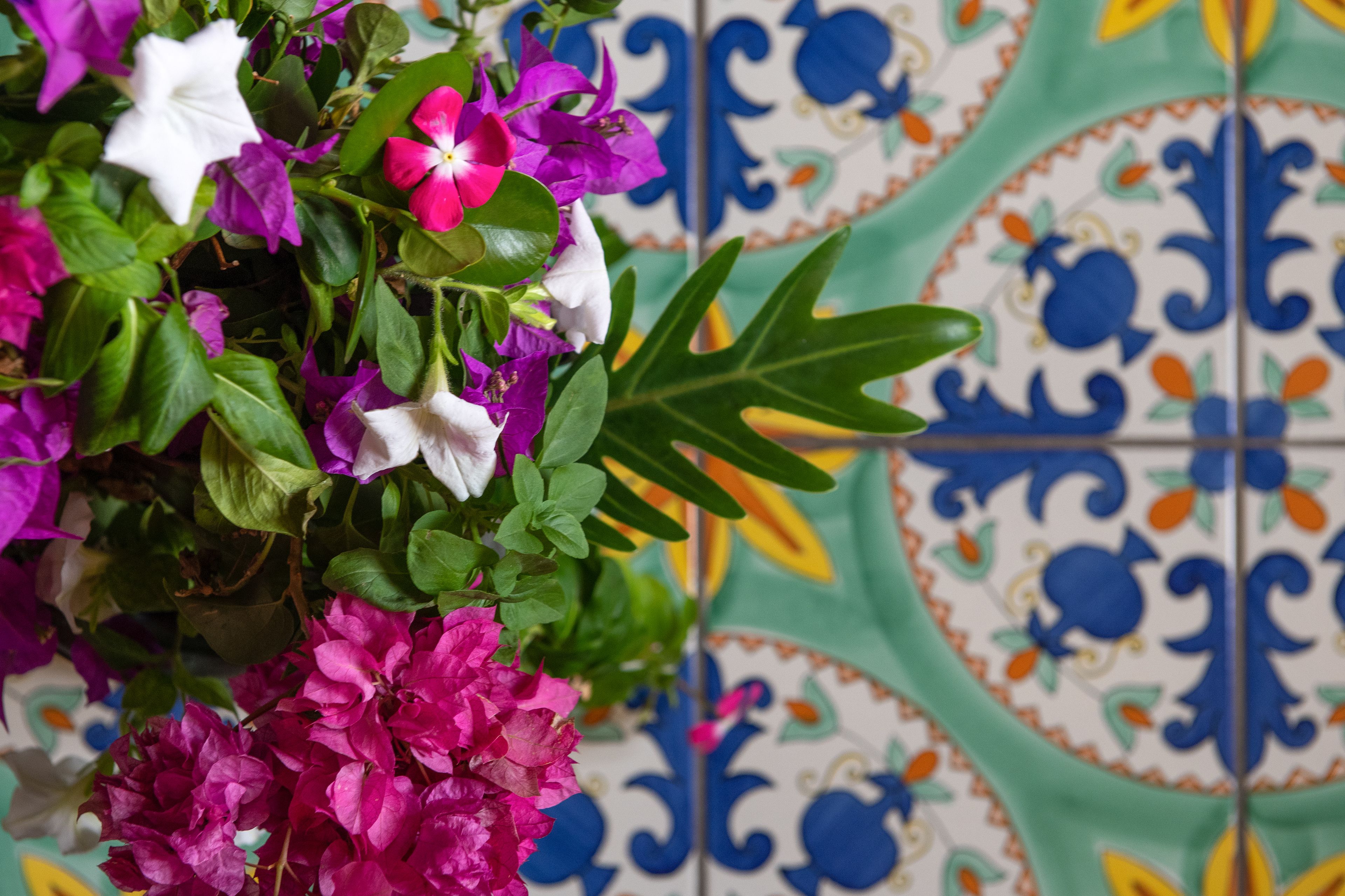 Um arranjo floral pendurado com flores roxas, rosa e brancas em frente a uma parede de azulejos coloridos.