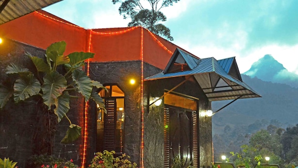 A modern house with a sloped roof, surrounded by lush greenery and potted plants. - Slightly Chilled Yellow House (Nallathanniya)