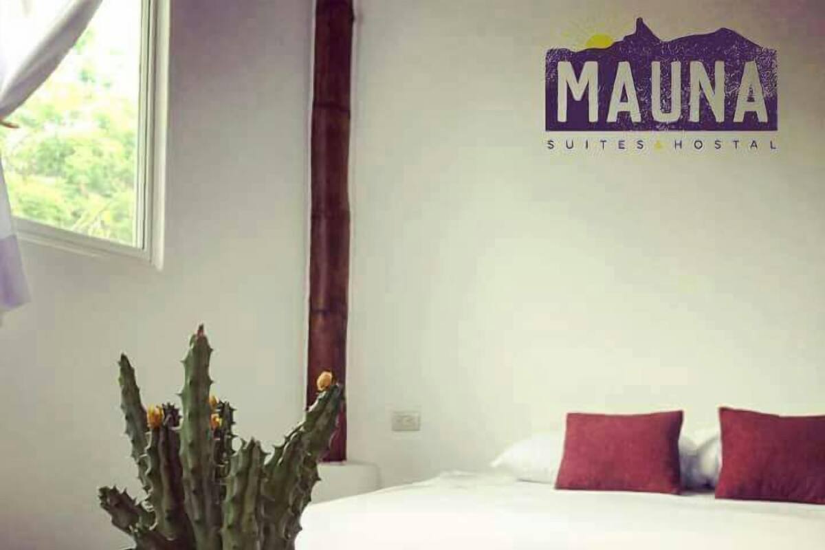 Suite | 1 bedroom, free WiFi