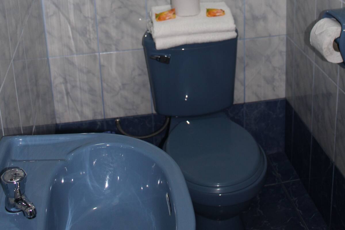 Dusche, kostenlose Toilettenartikel, Haartrockner, Handtücher