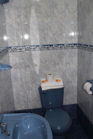 Shower, free toiletries, hair dryer, towels