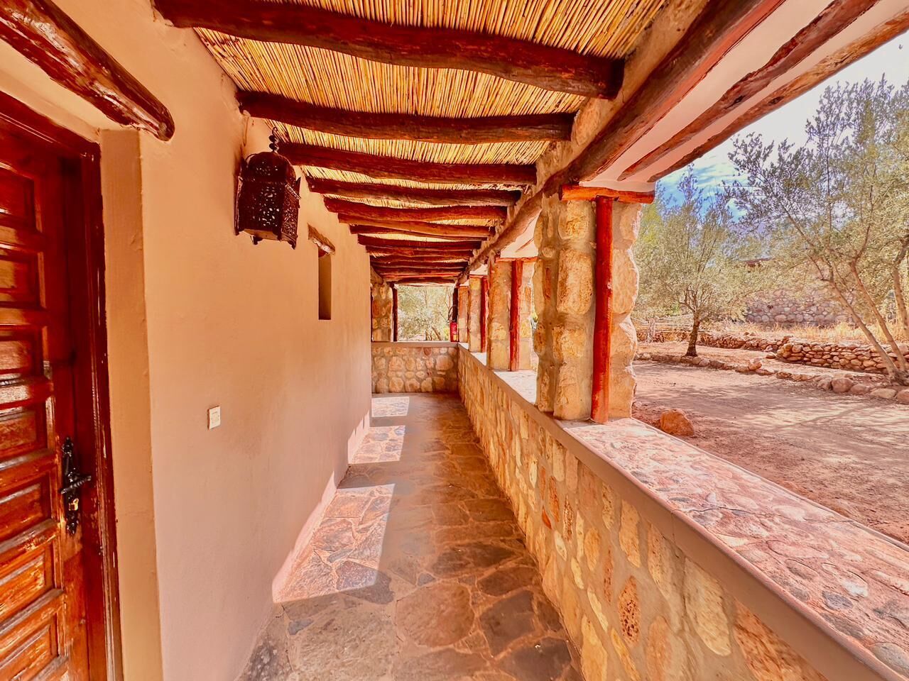 尊榮洋房 | 露台/庭院