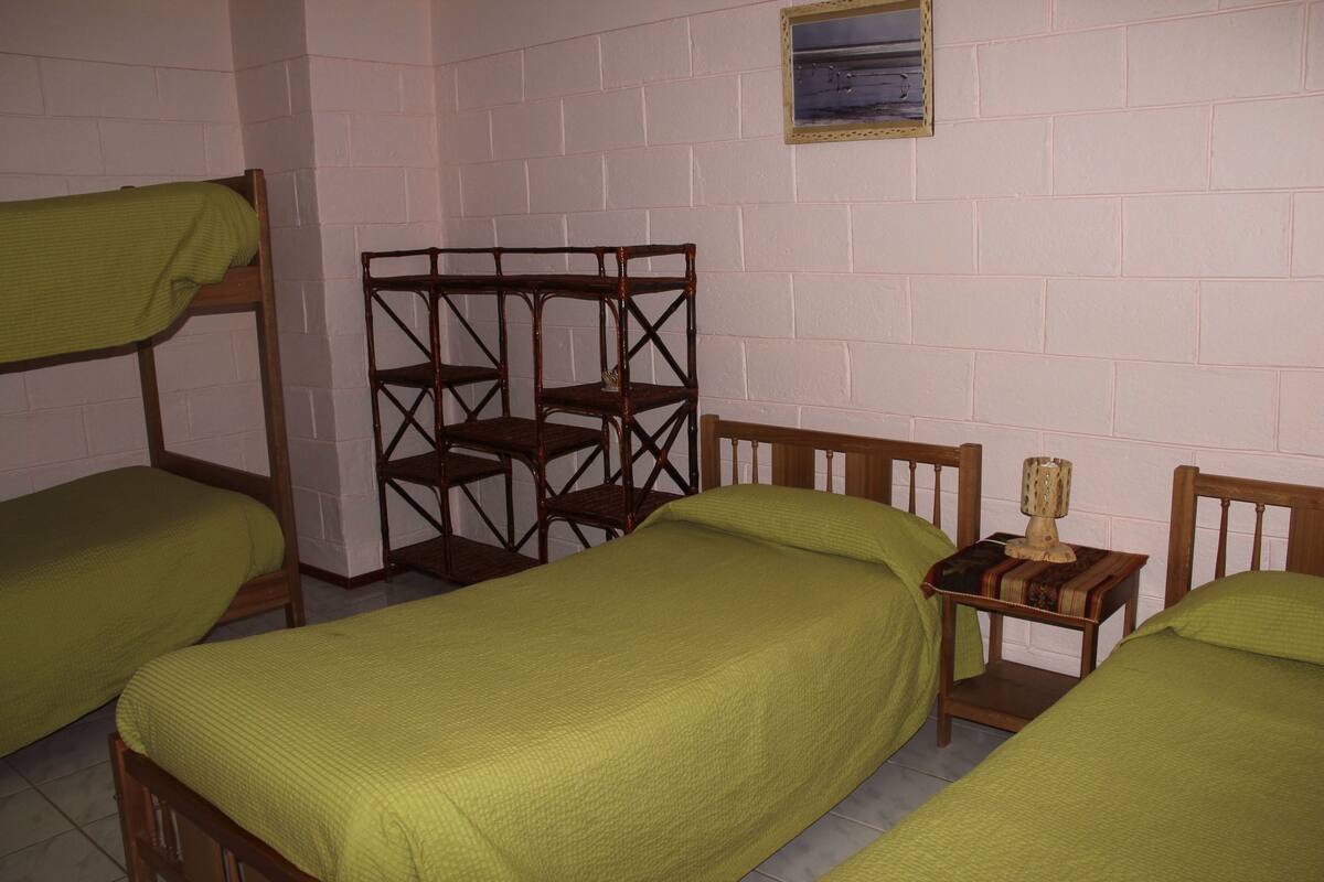 A dormitory room with bunk beds, a wooden chair, and a small shelf with a lamp.