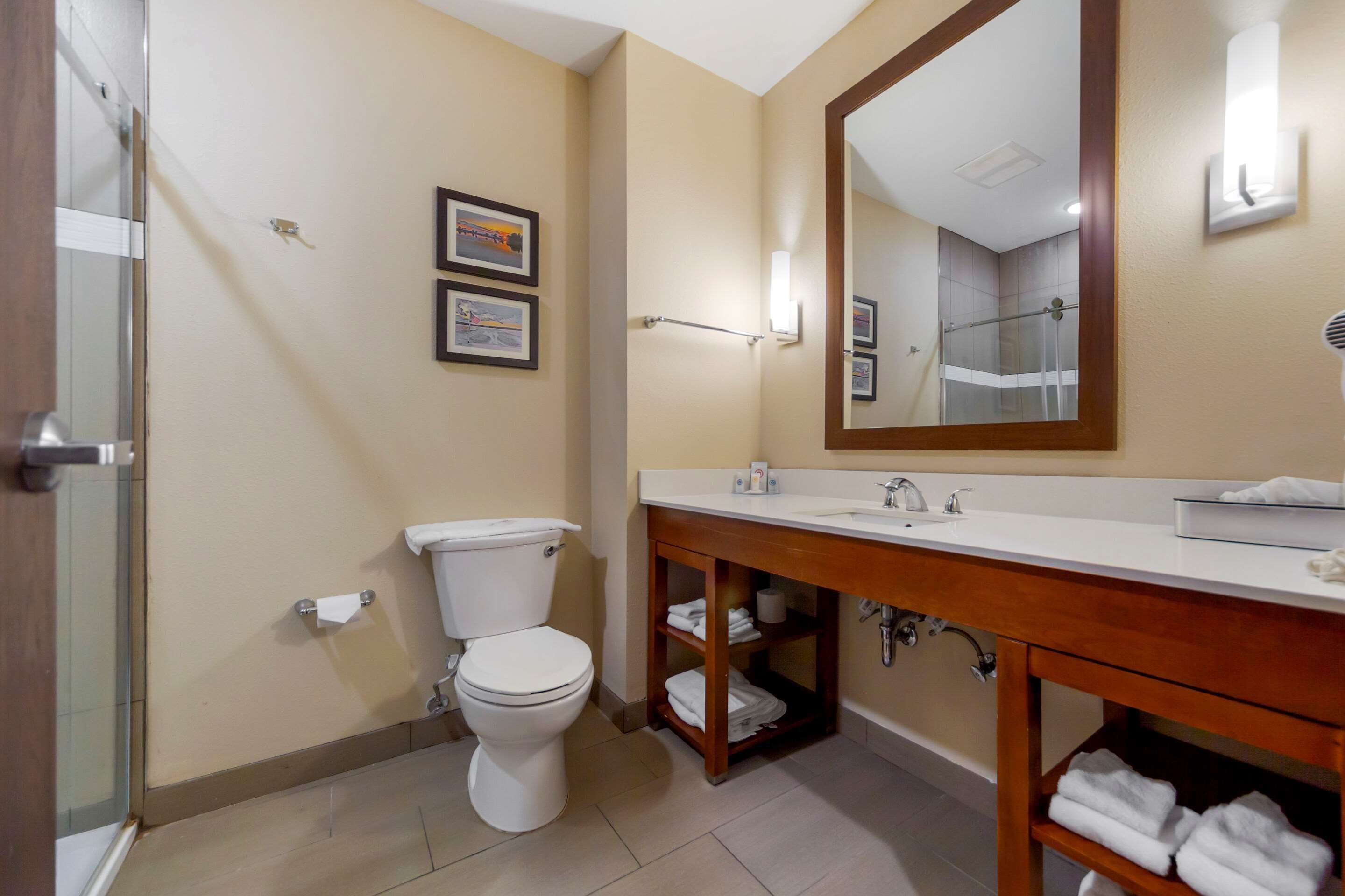 suite, 1 king bed with sofa bed, non smoking | bathroom | combined shower/bathtub, rainfall showerhead, free toiletries