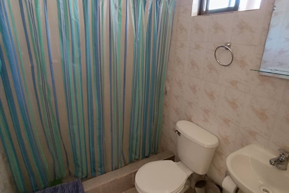 standard triple room, private bathroom | bathroom | shower, towels, soap, toilet paper