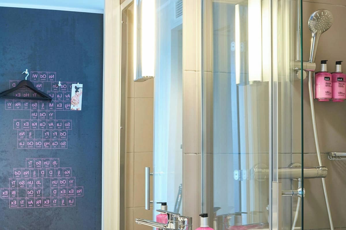 shower, free toiletries, hair dryer, towels