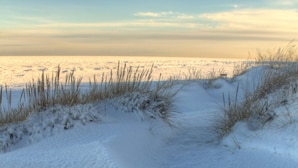 A snowy landscape with a path leading to the water. - Holiday Inn Express and Suites Portage by IHG (Portage)