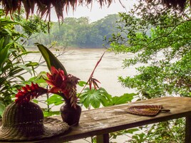 Vista desde la propiedad