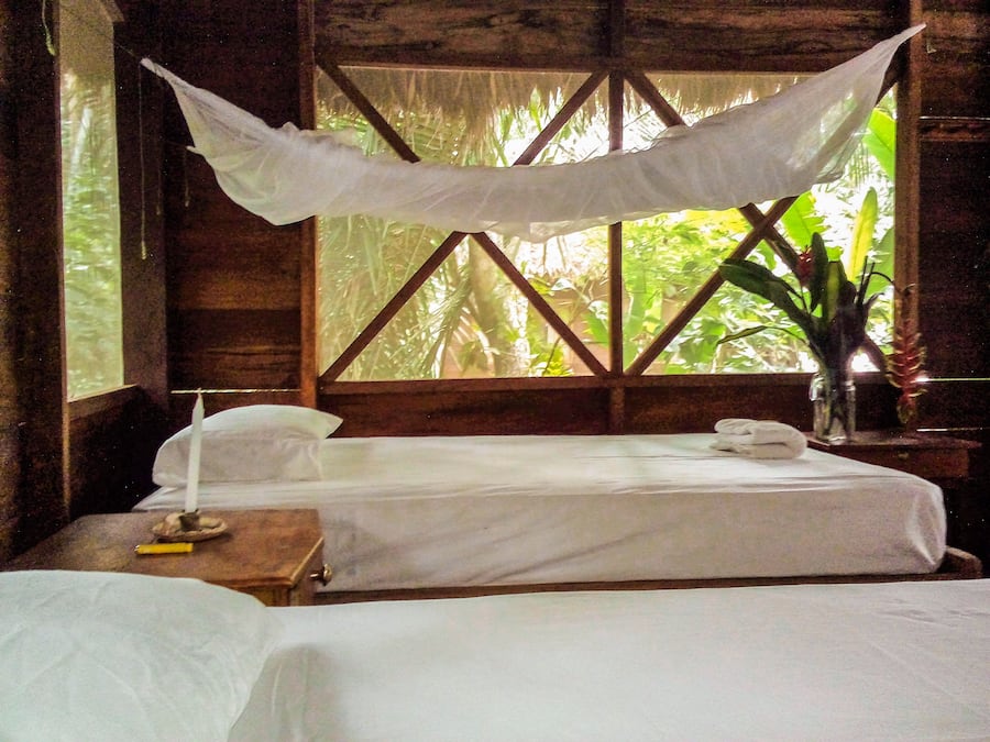 A room with a bed under a canopy, a nightstand with a lamp, and a window with a view of greenery.