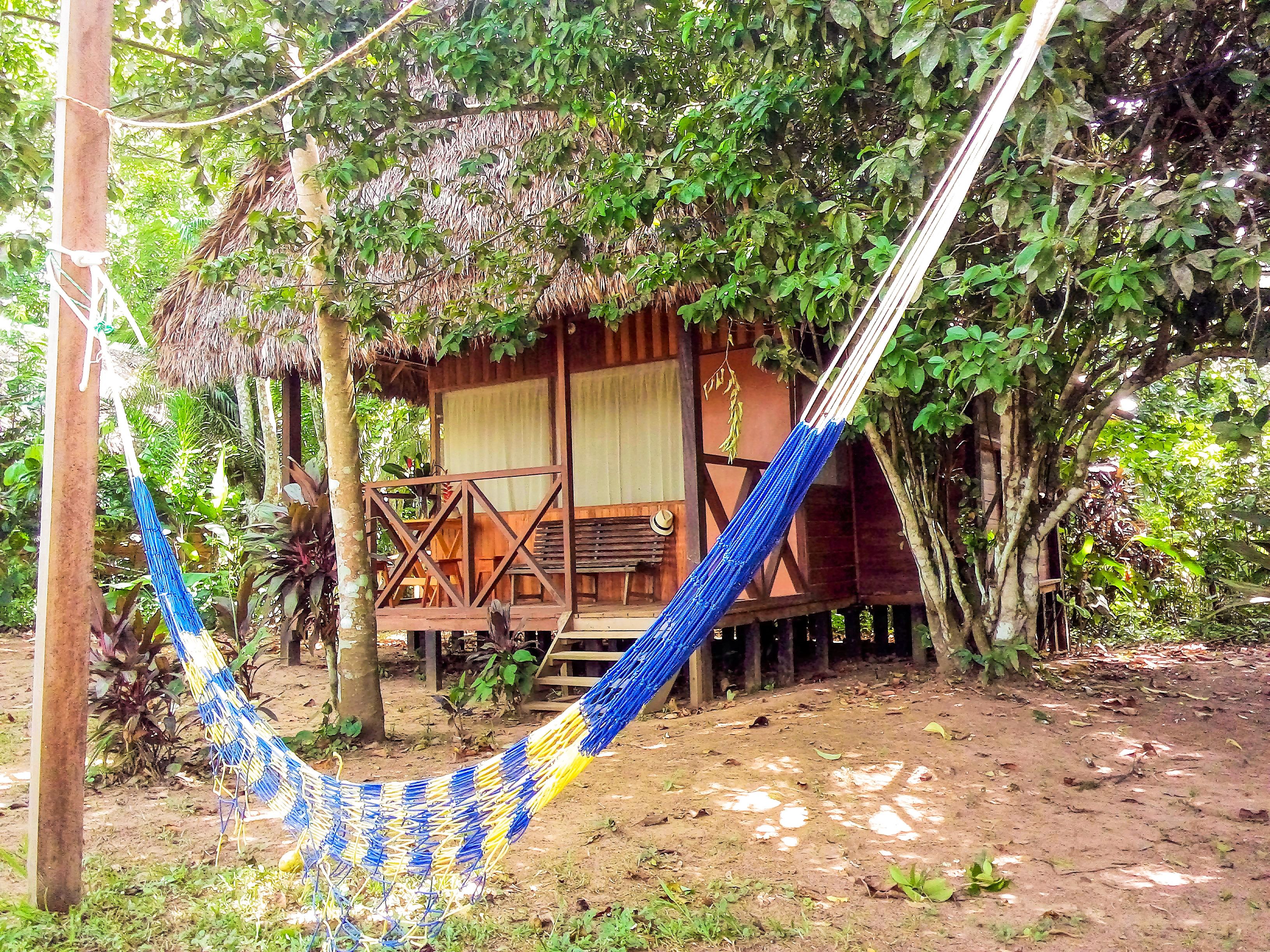 A wooden structure with a thatched roof, surrounded by dense foliage.