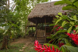 Vista desde la propiedad