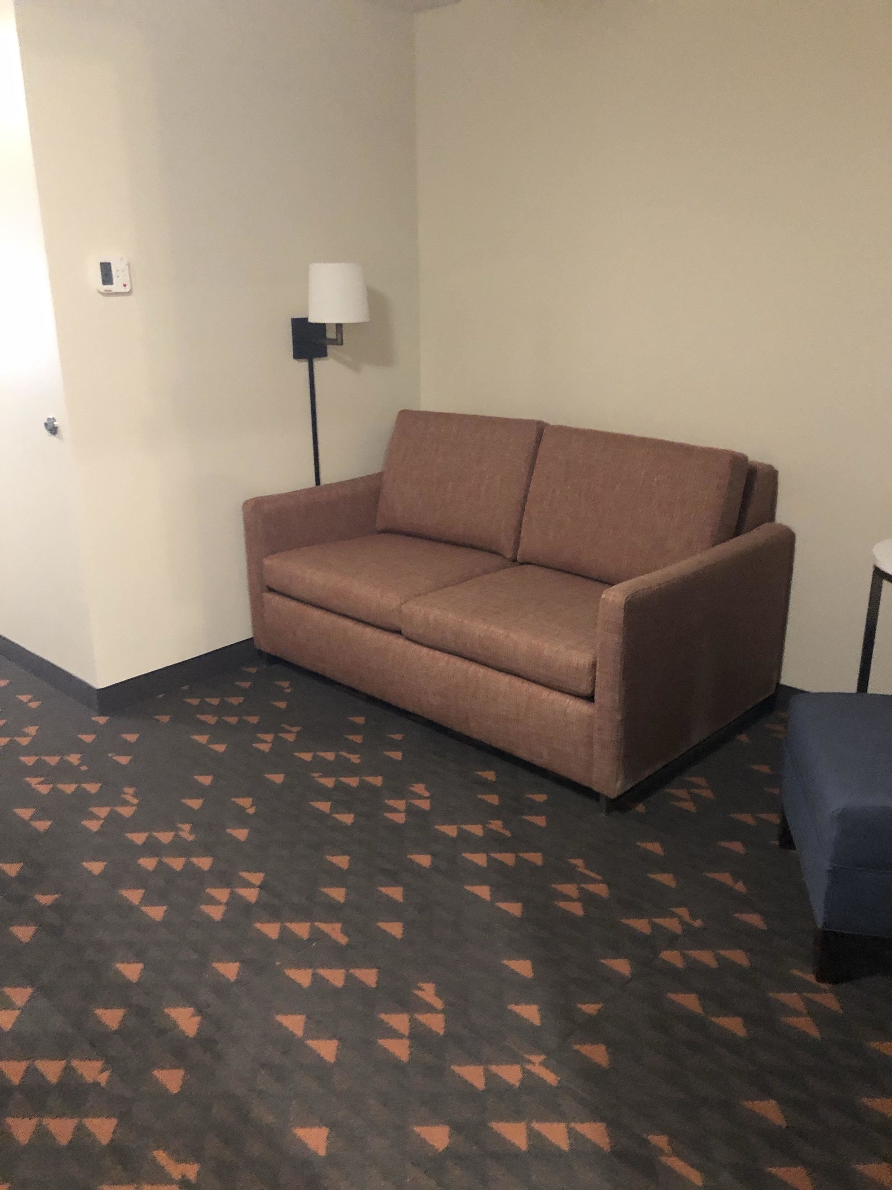 Una habitación con un sofá marrón, una lámpara de pie y una alfombra estampada.