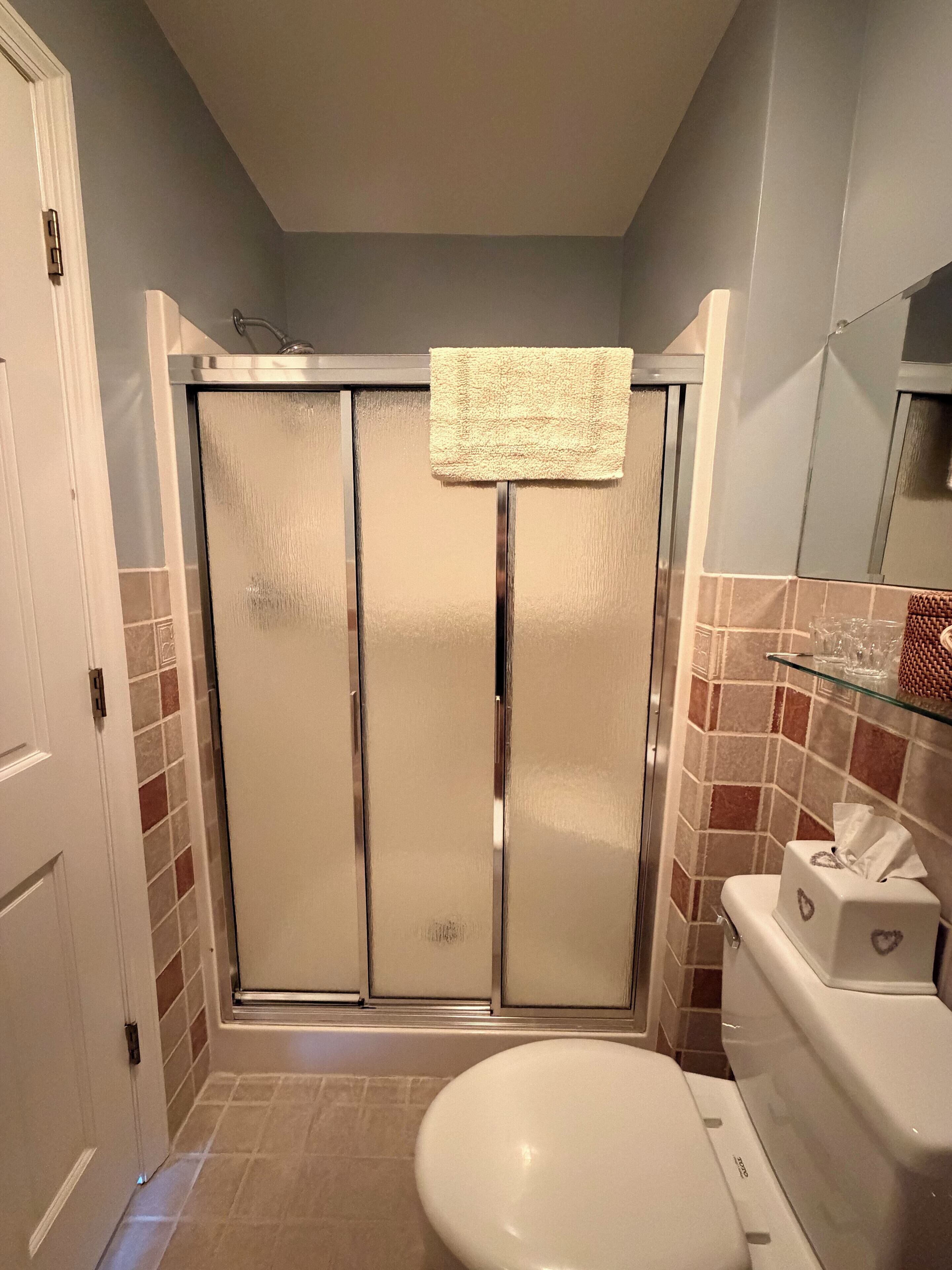 A bathroom with a shower, toilet, and a glass shelf with toiletries.