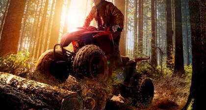 Hotel The Nesta & Spa