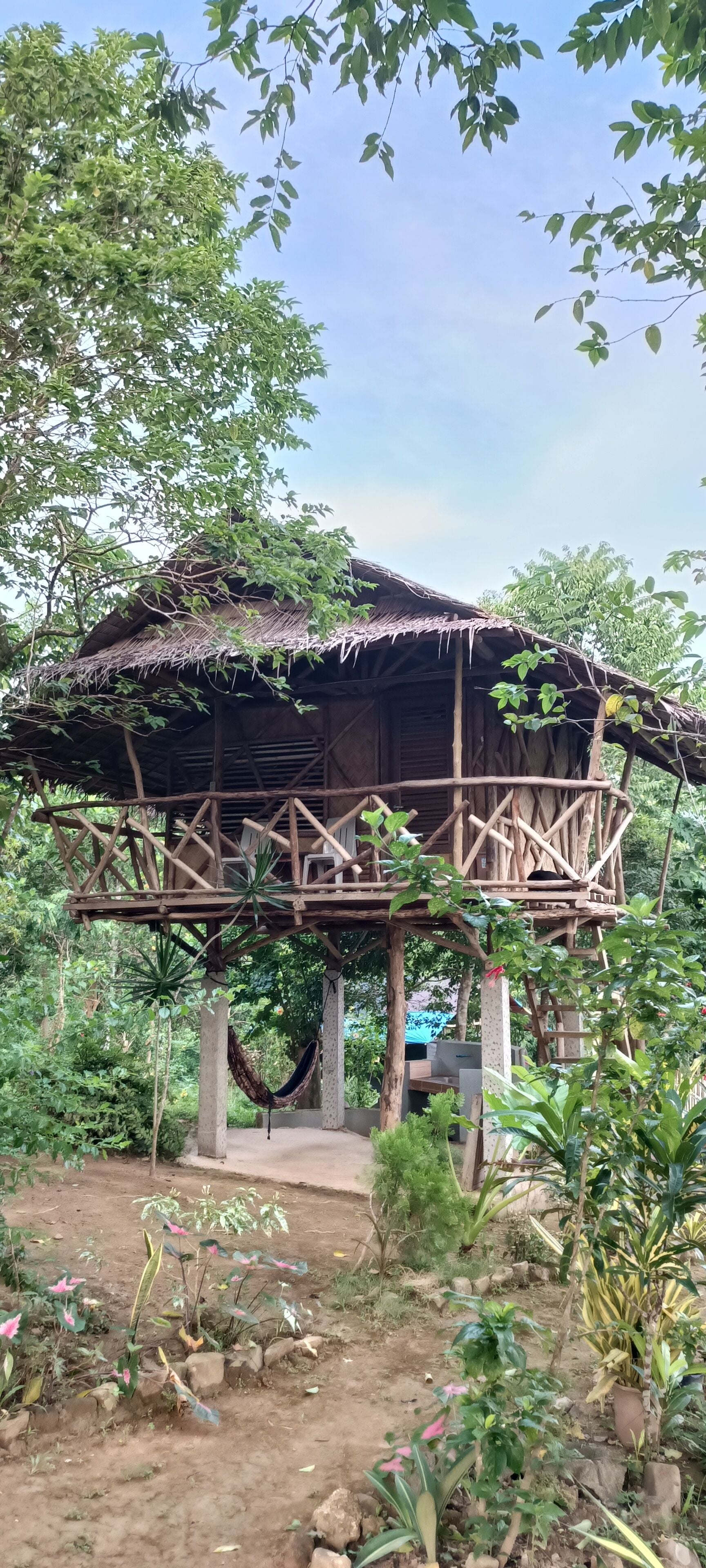 Foto - Erlittop Nature Lodge