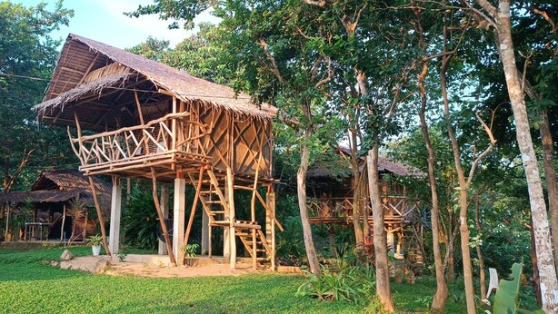 A rustic wooden structure with a thatched roof, surrounded by lush greenery and trees. - Erlittop Nature Lodge (El Nido)