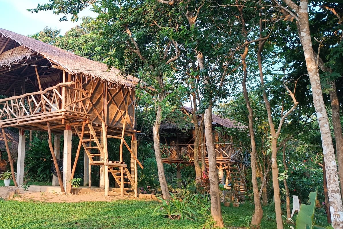Une construction rustique en bois, dotée d’un toit de chaume, entourée d’une végétation luxuriante et d’arbres.
