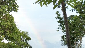 A lush landscape with a view of the sea and a rainbow. - Erlittop Nature Lodge (El Nido)