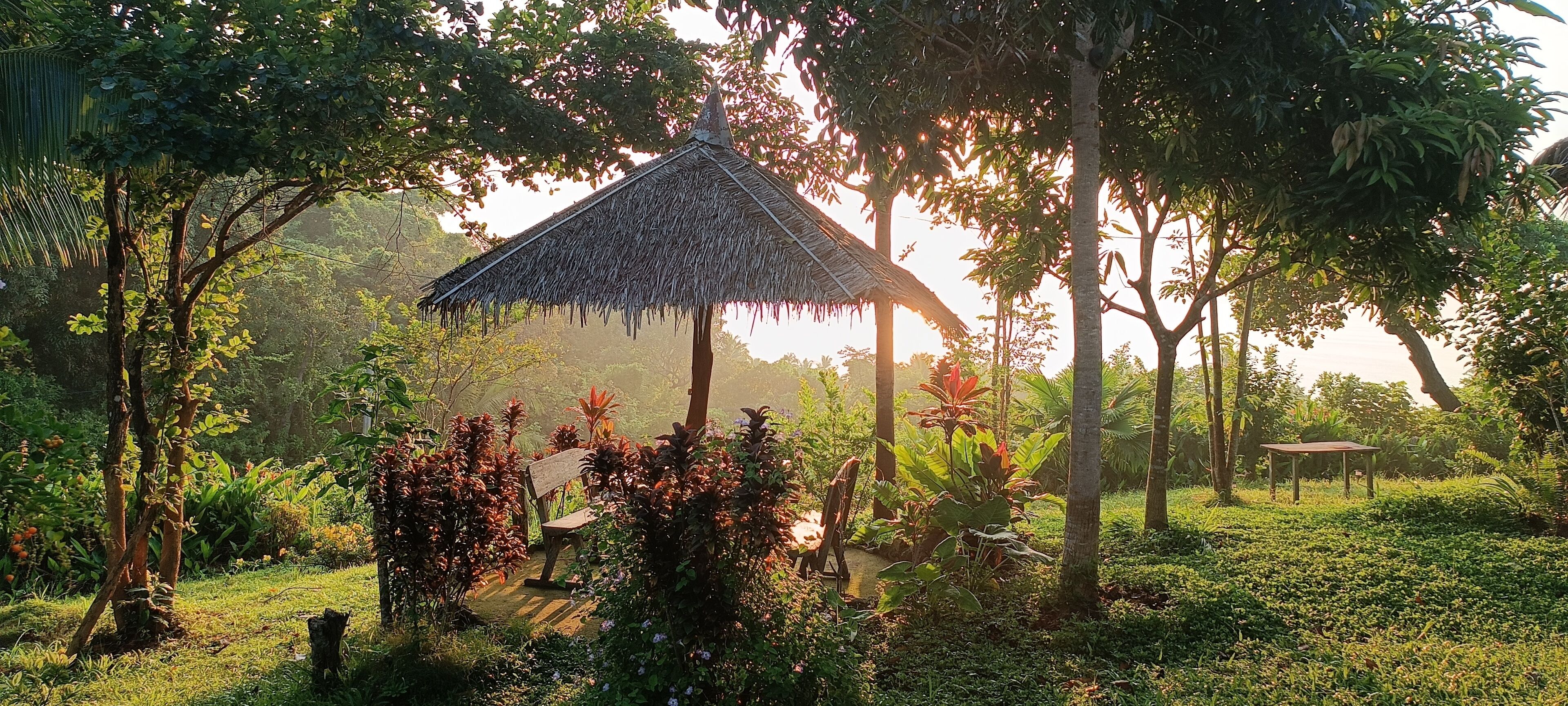 Foto - Erlittop Nature Lodge