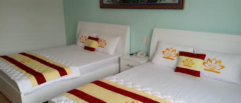 Standard Room | Living room